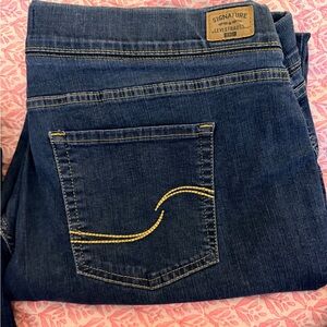 Signature by Levi Strauss Women's Skinny Jeans Dark Blue 22W Long